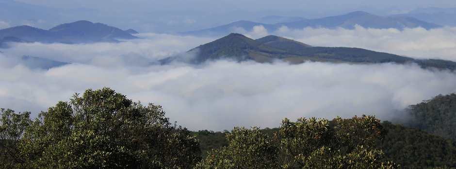 Especialistas discutem turismo ecológico e concessões em parques de Minas